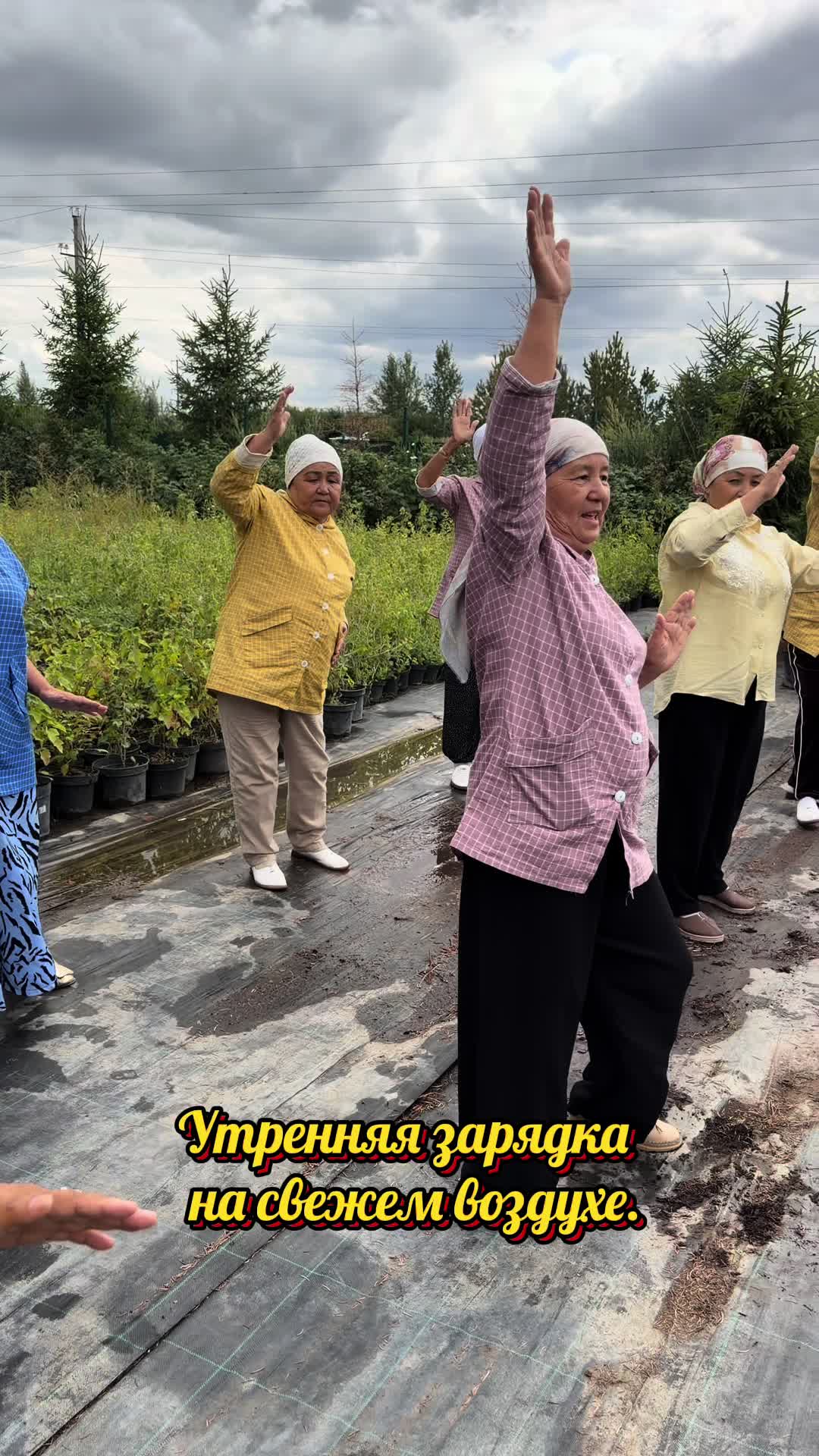@Tamara Tiktok