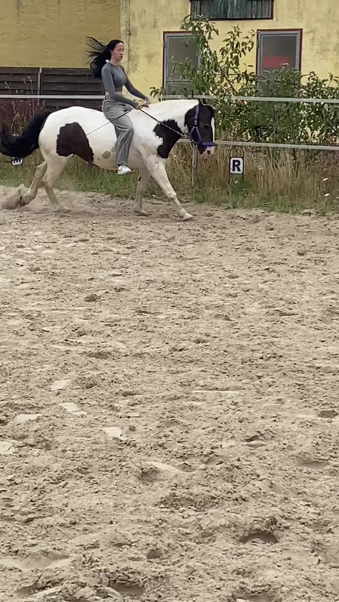 @sophie.x.090