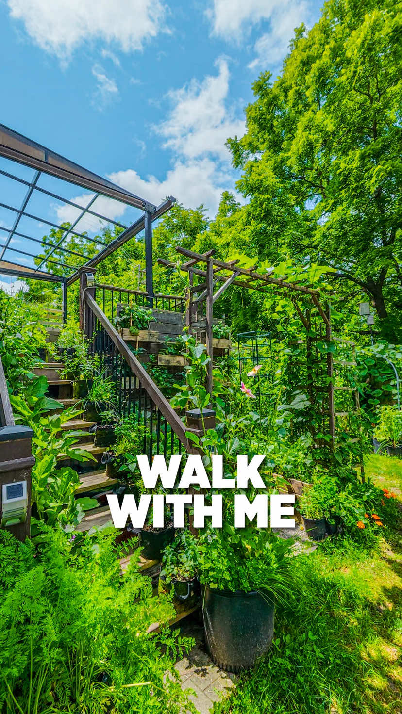 @Planted in the Garden