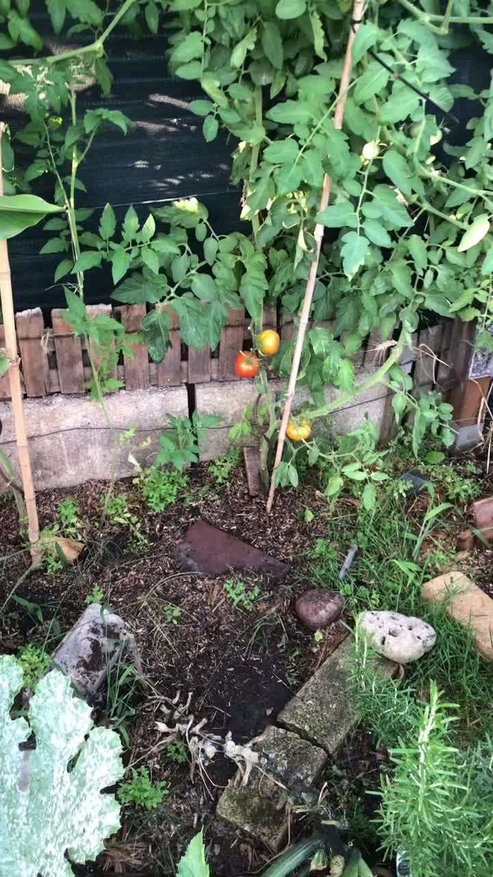 @lecoindesplantes