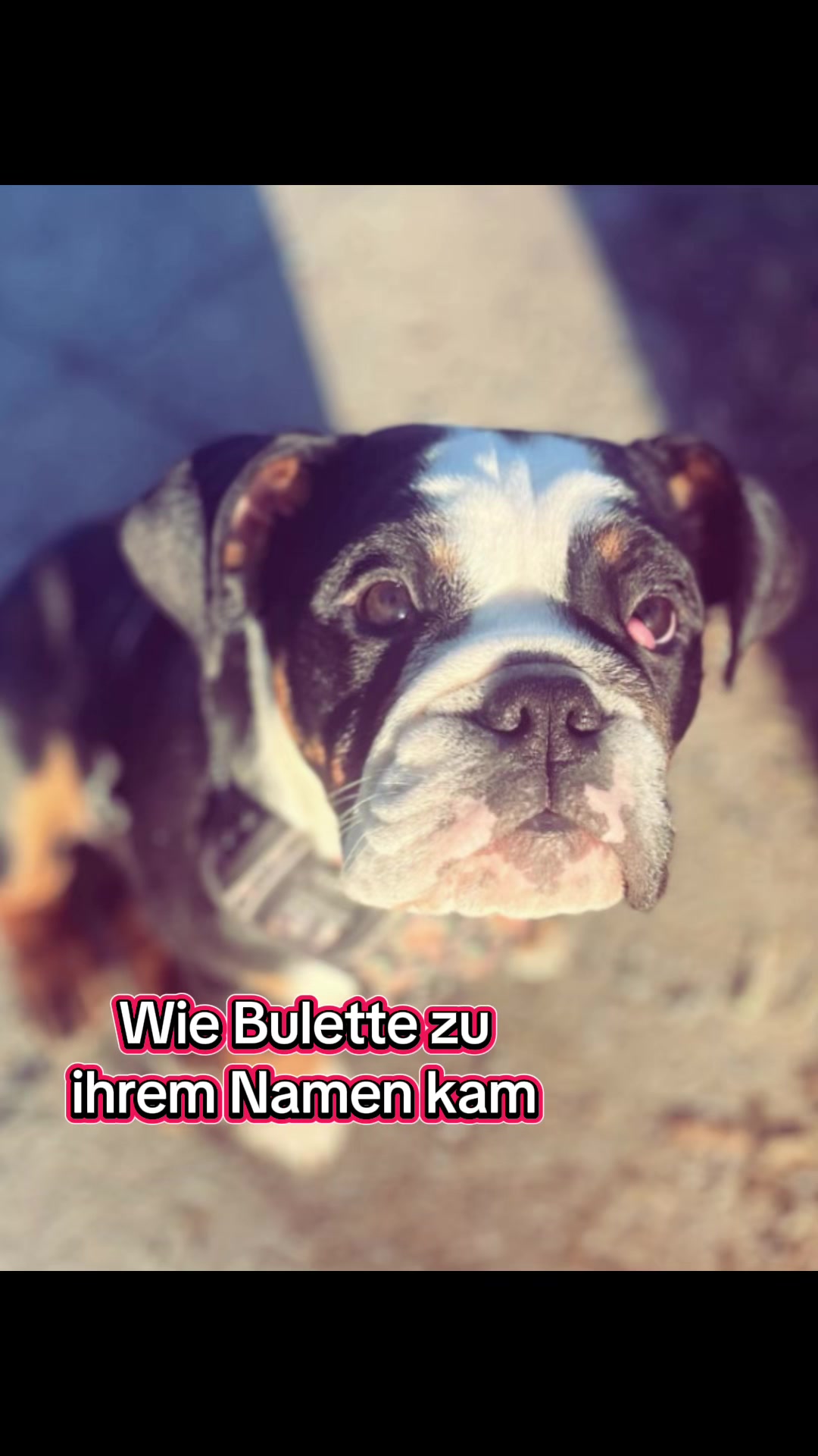 @Rumpelstilzchen