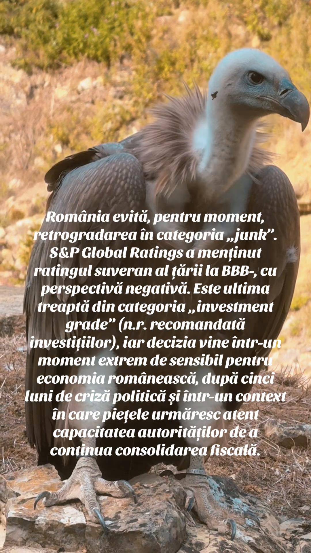 @Sebastian din Ardeal™