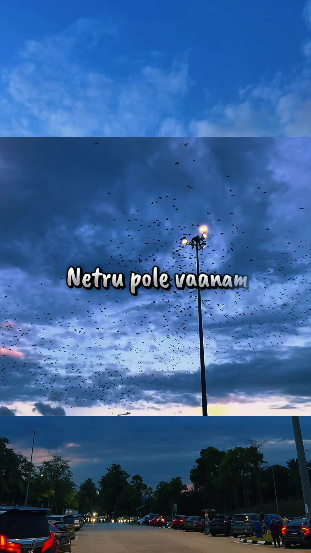 @🌸 𝓜 𝓮 𝓲 🪽