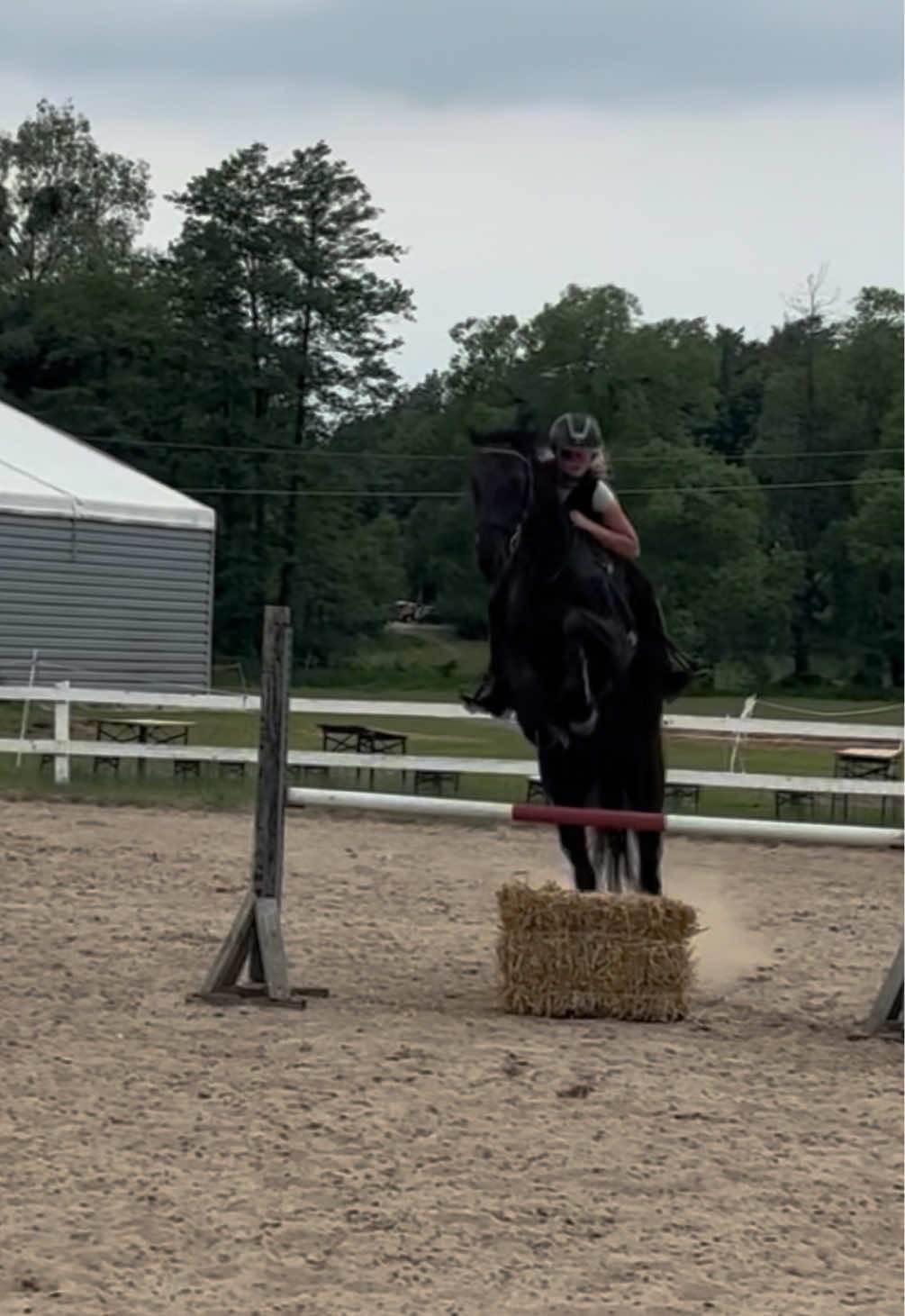 @💋🐴