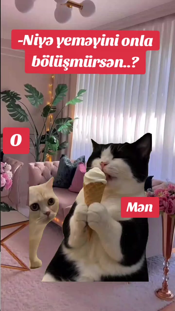 @ArzuMMooD♑