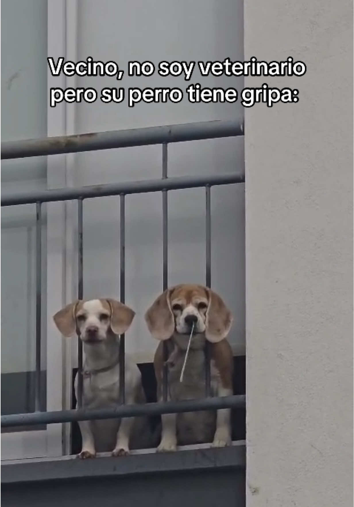 @Paulinagleezz