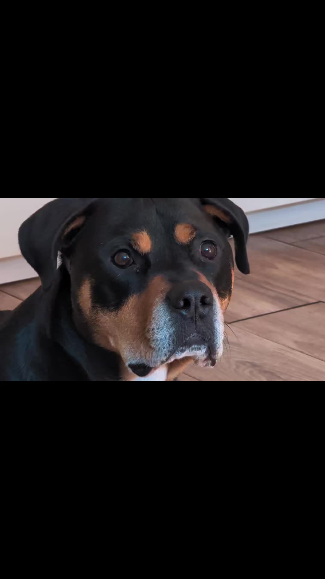 @DerJokerUndSeineFreunde