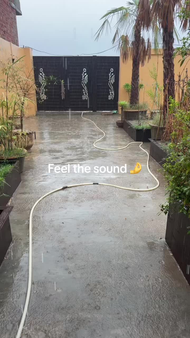 @Sesalee 🔥🥷