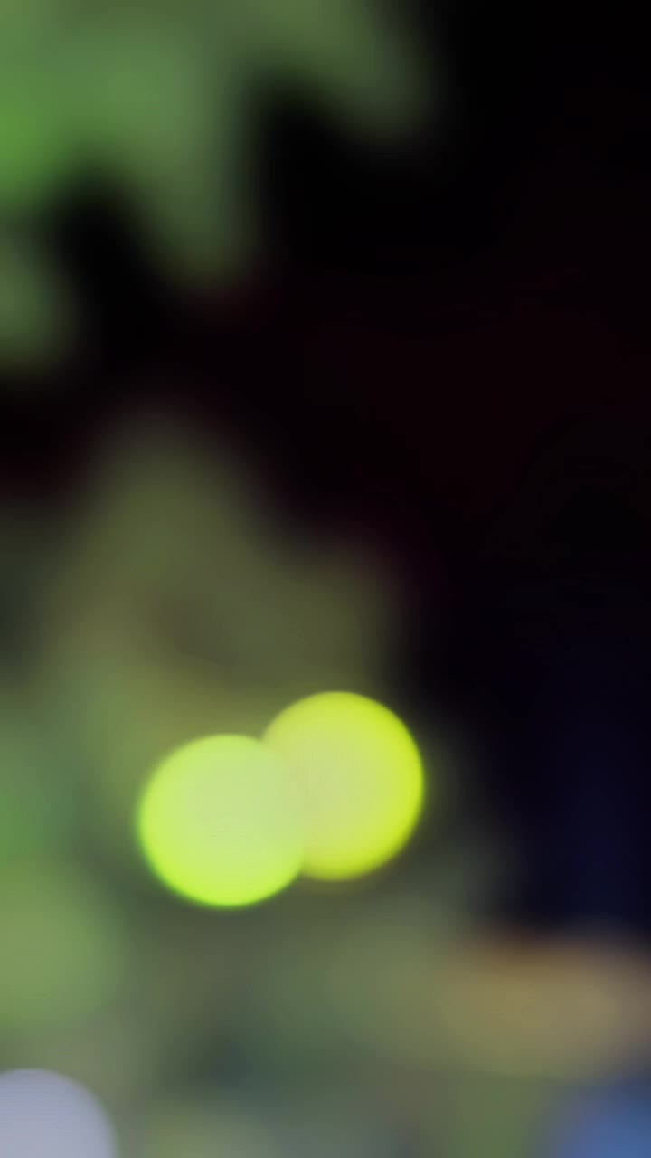 @๏̯͡๏Ꭶƴё𝐝ツ