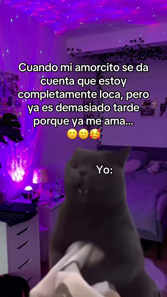 @ShirleyGarces17