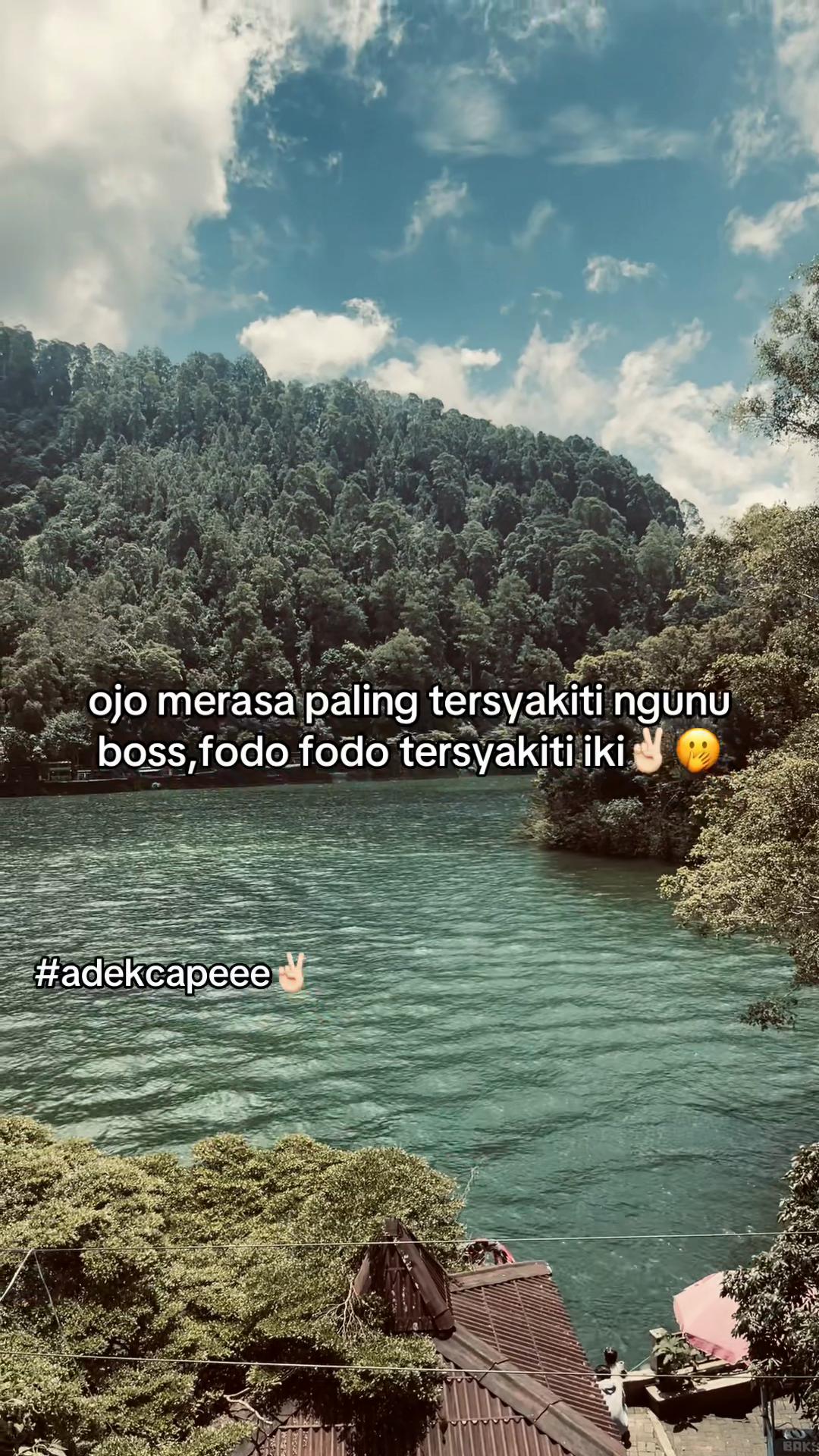 @svna