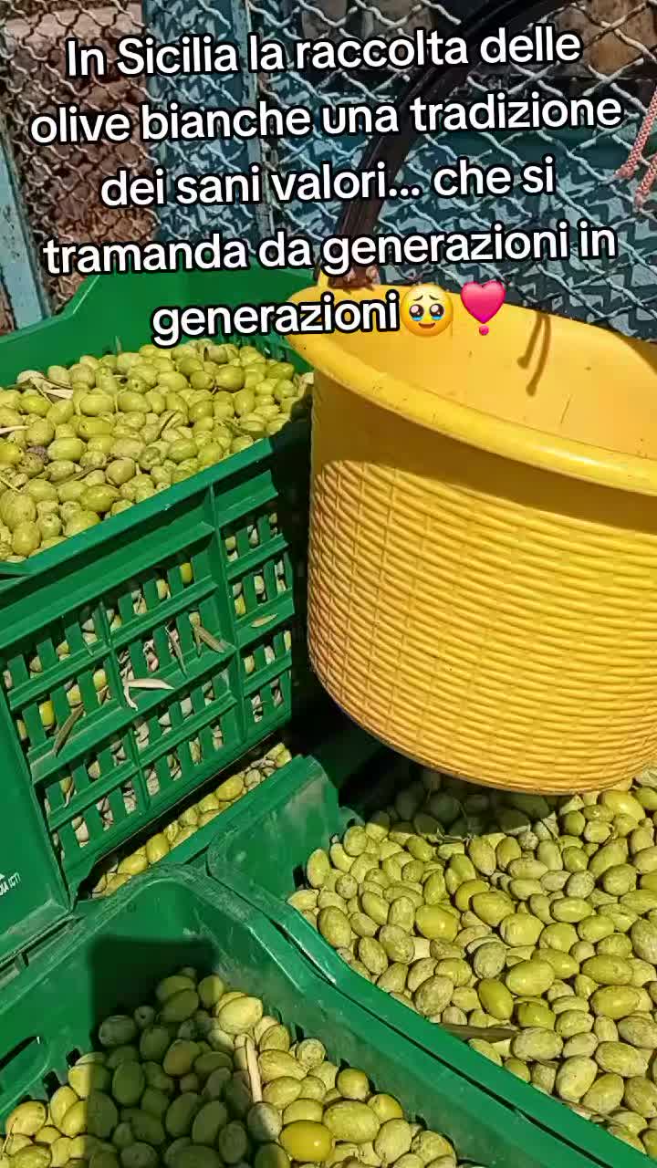 @Salpietro Damiano Roberto