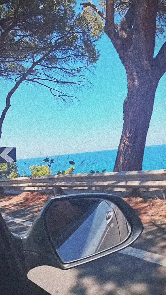 @la brescellese sicula(rosanero