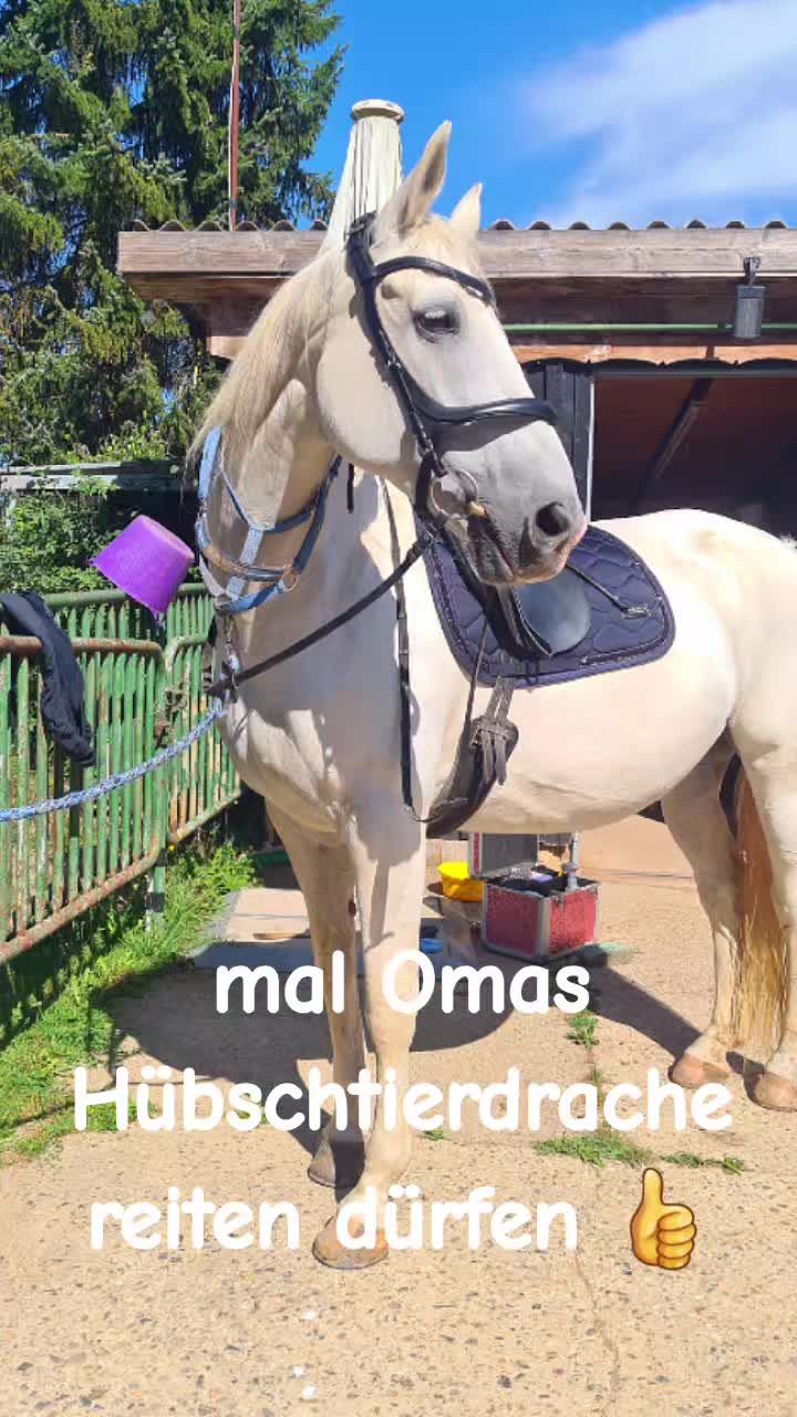 @Ponykids Freitagsgrund