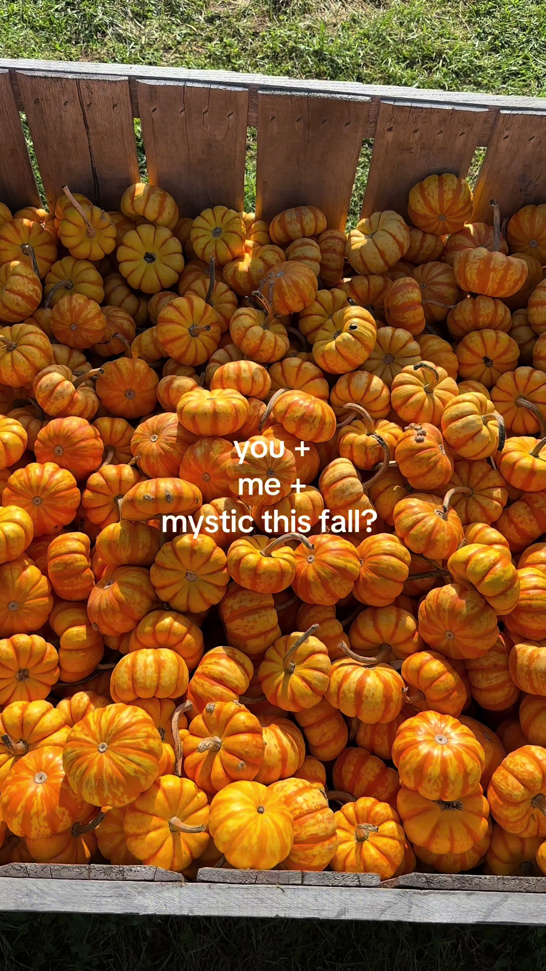 @chrissy