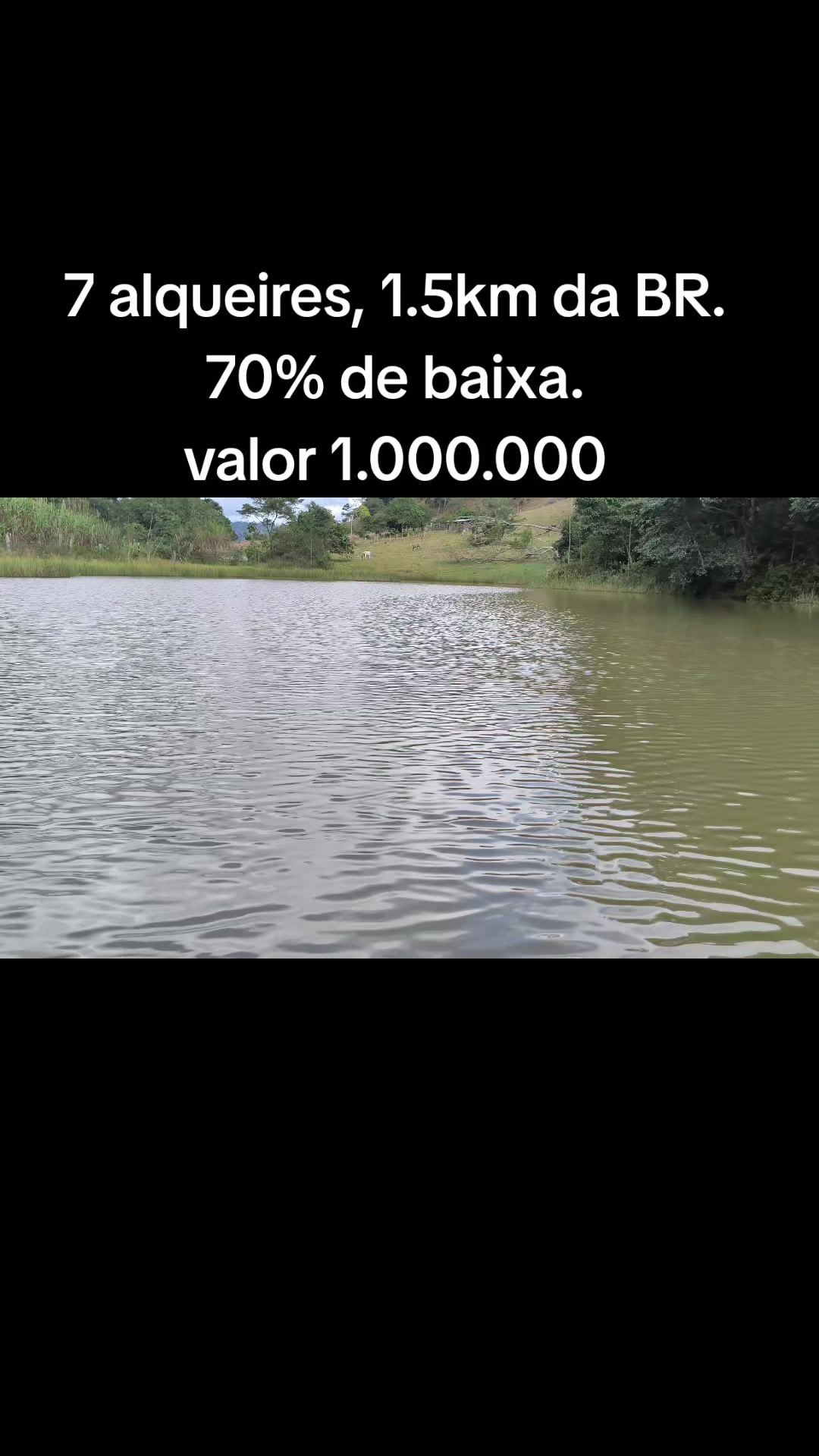 @O REI DAS FAZENDAS.