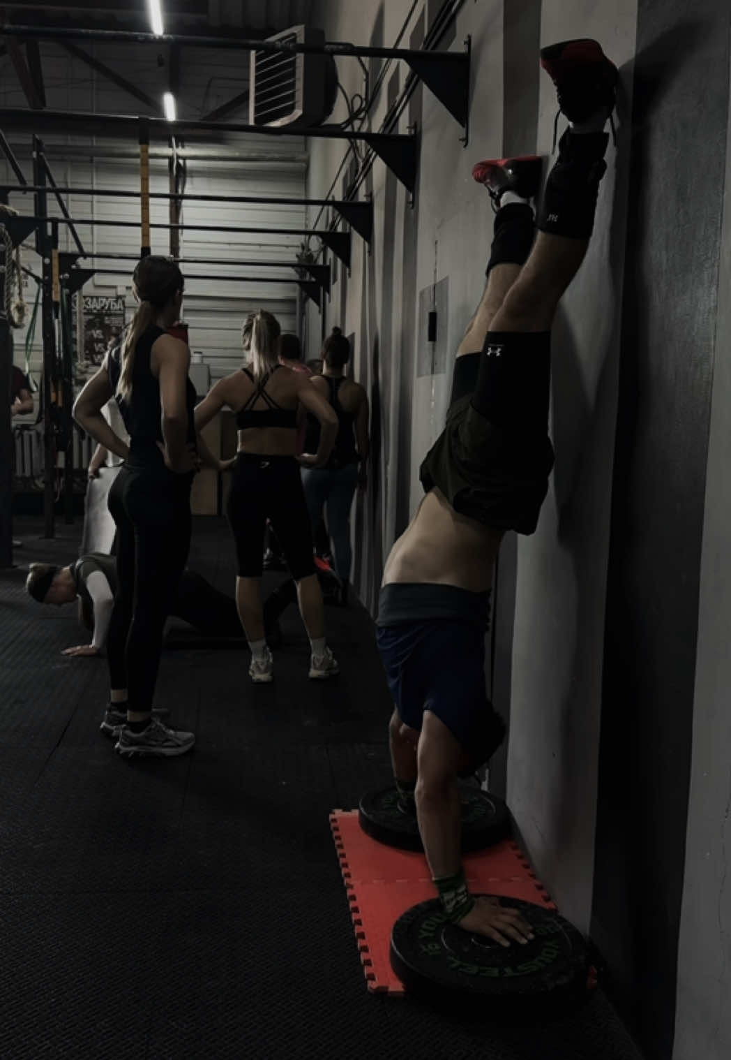 @genetic_crossfit_grodno