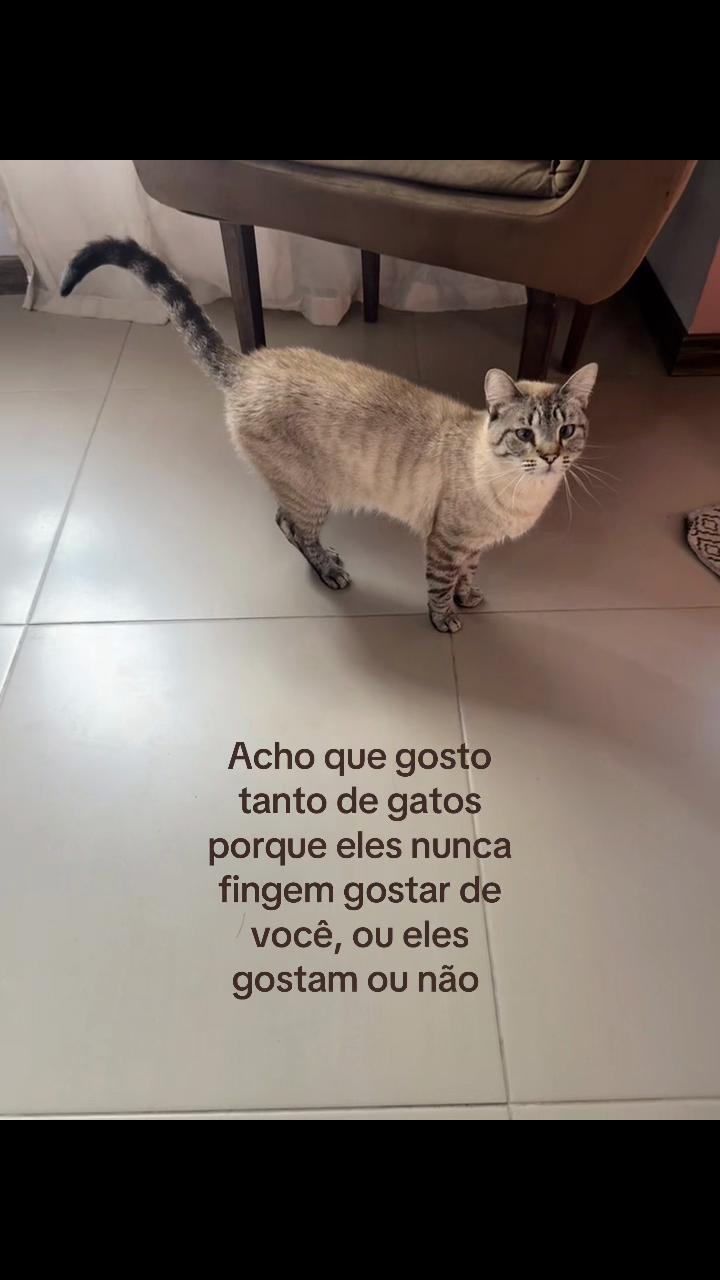 @𐚁ֹ ִ  𝐋̲&alpha;hh̫ ! ୧ ֹ
