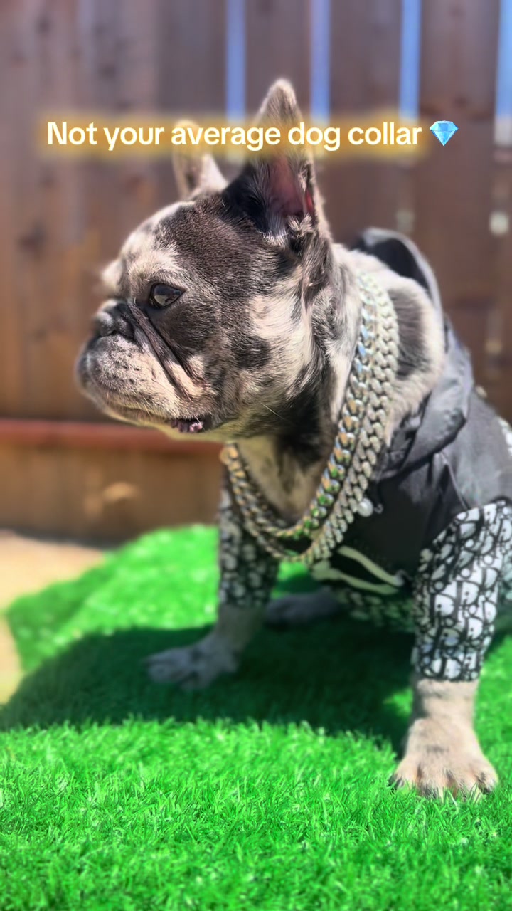 @TheFrenchieShop