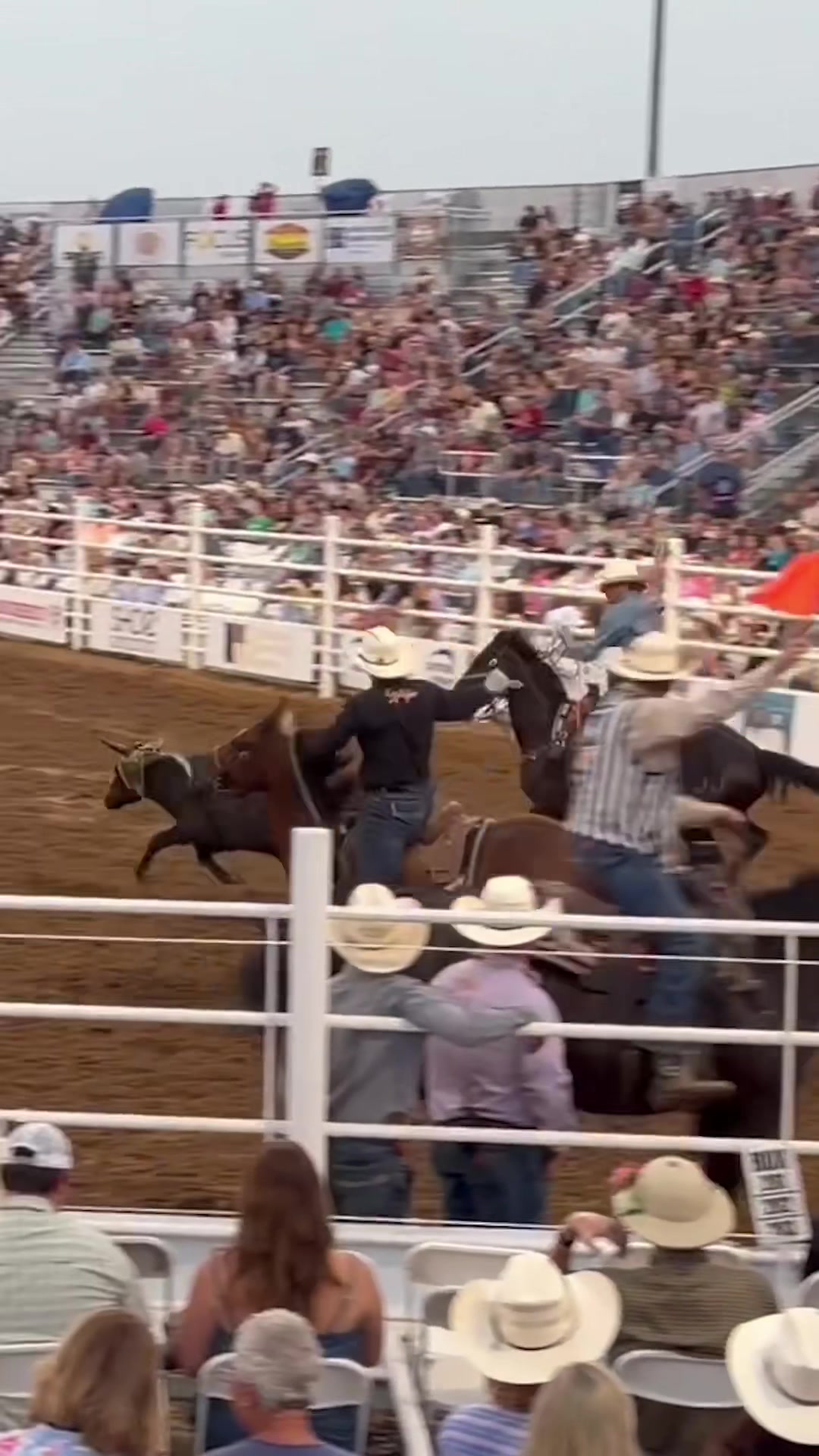@The Team Roping Journal