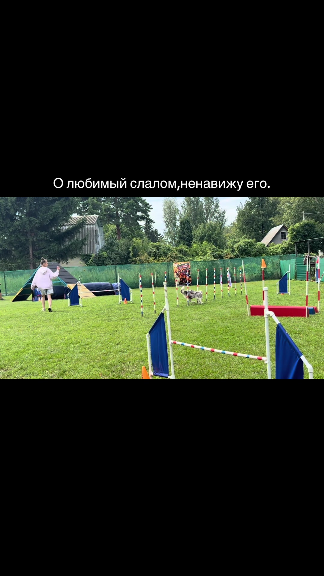 @Тгк: ⚡️🐾Хвостатый мир🐾⚡️