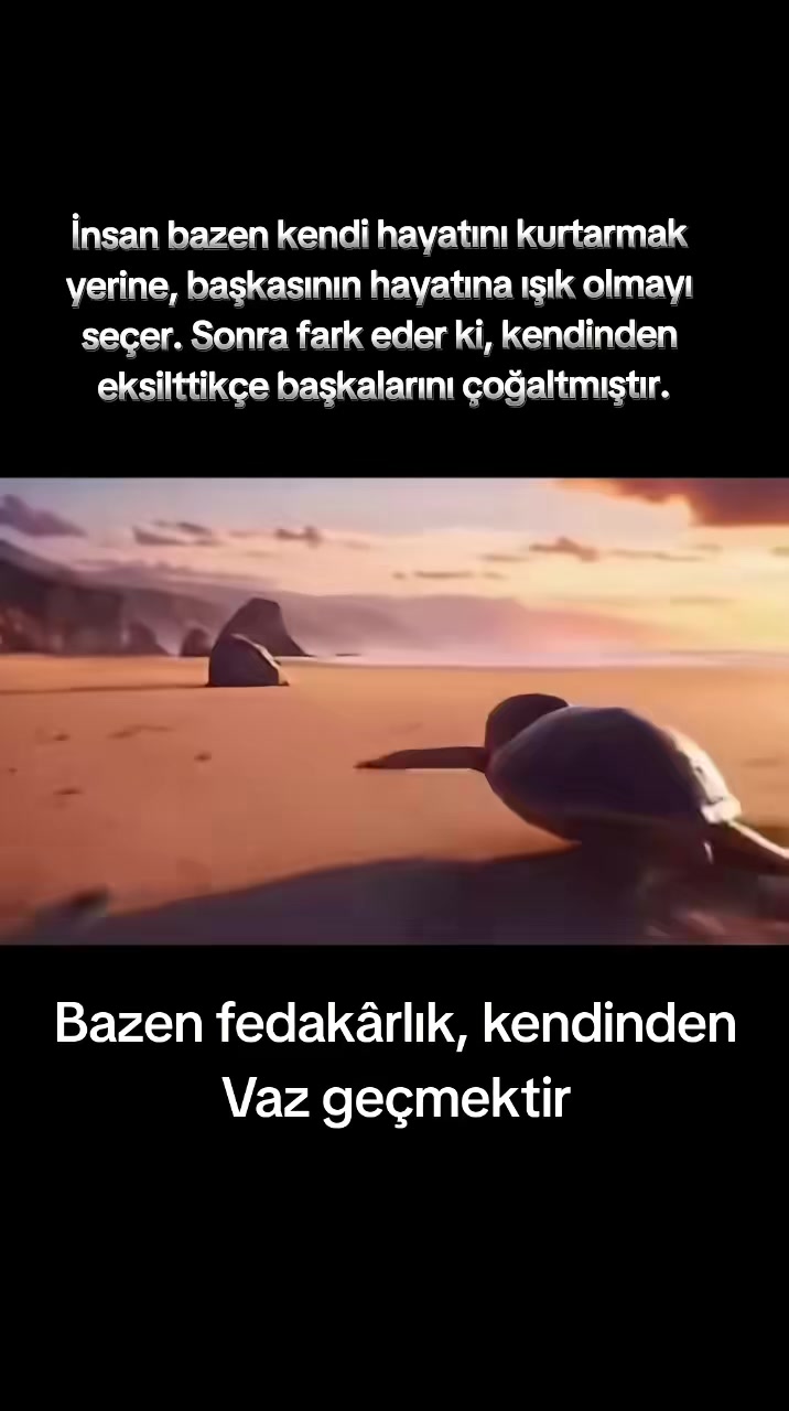 @𝟰𝘿𝙨 𝙆𝙐𝙍𝙏 𝘽𝙀𝙔 🐺