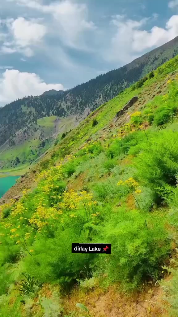 @شعیب عالم  ڈی کے