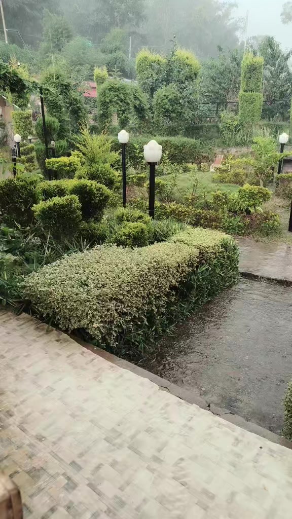 @Dr Meghna Regmi
