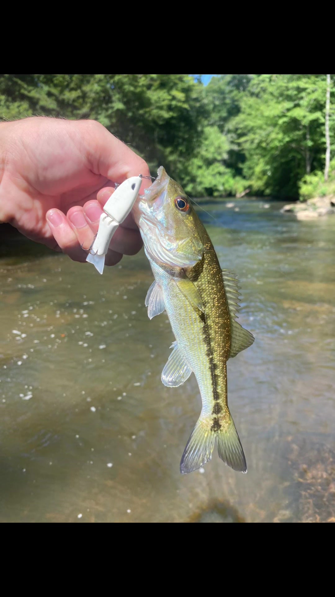 @wood.fishing