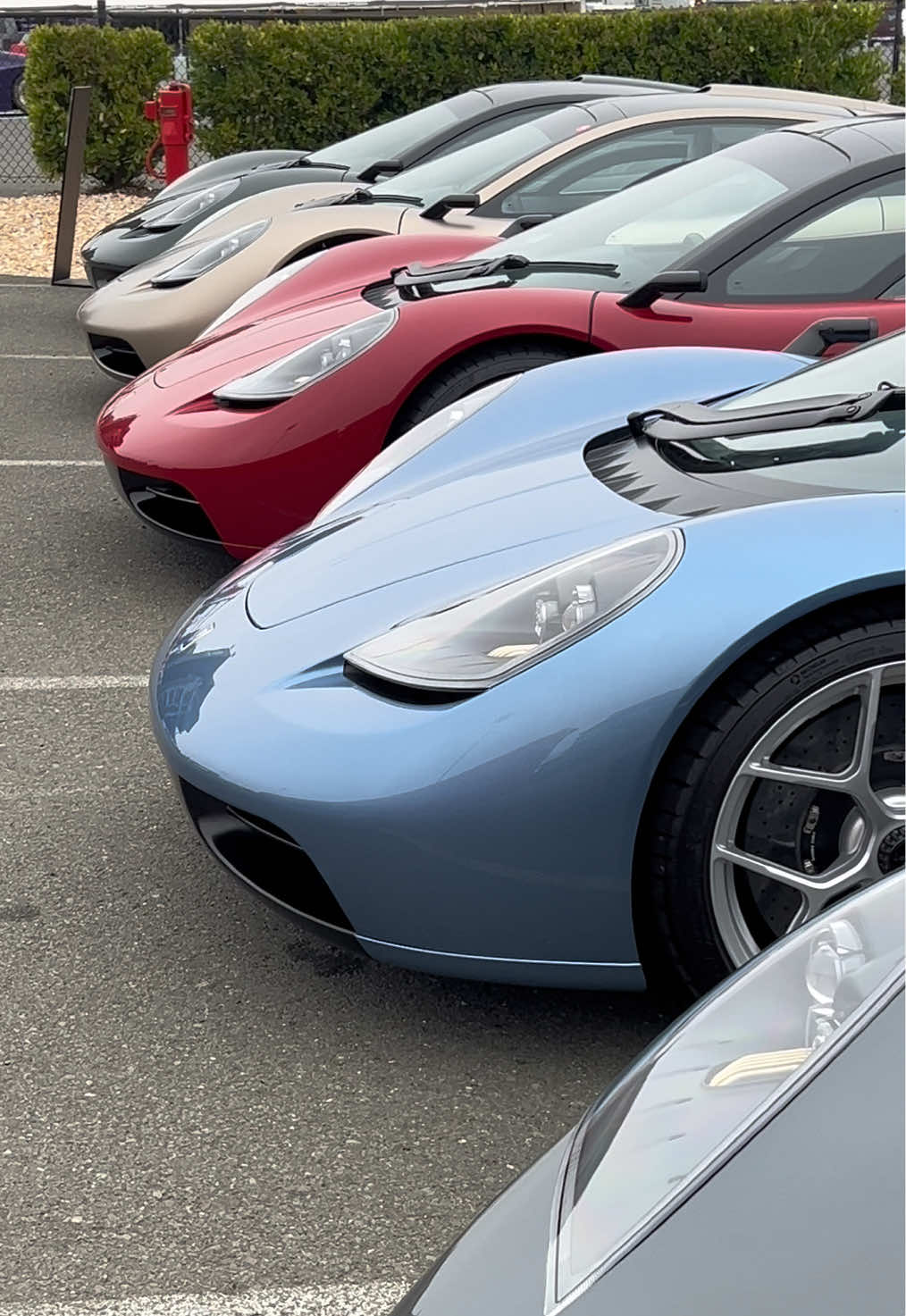 @Cameron Polidoro