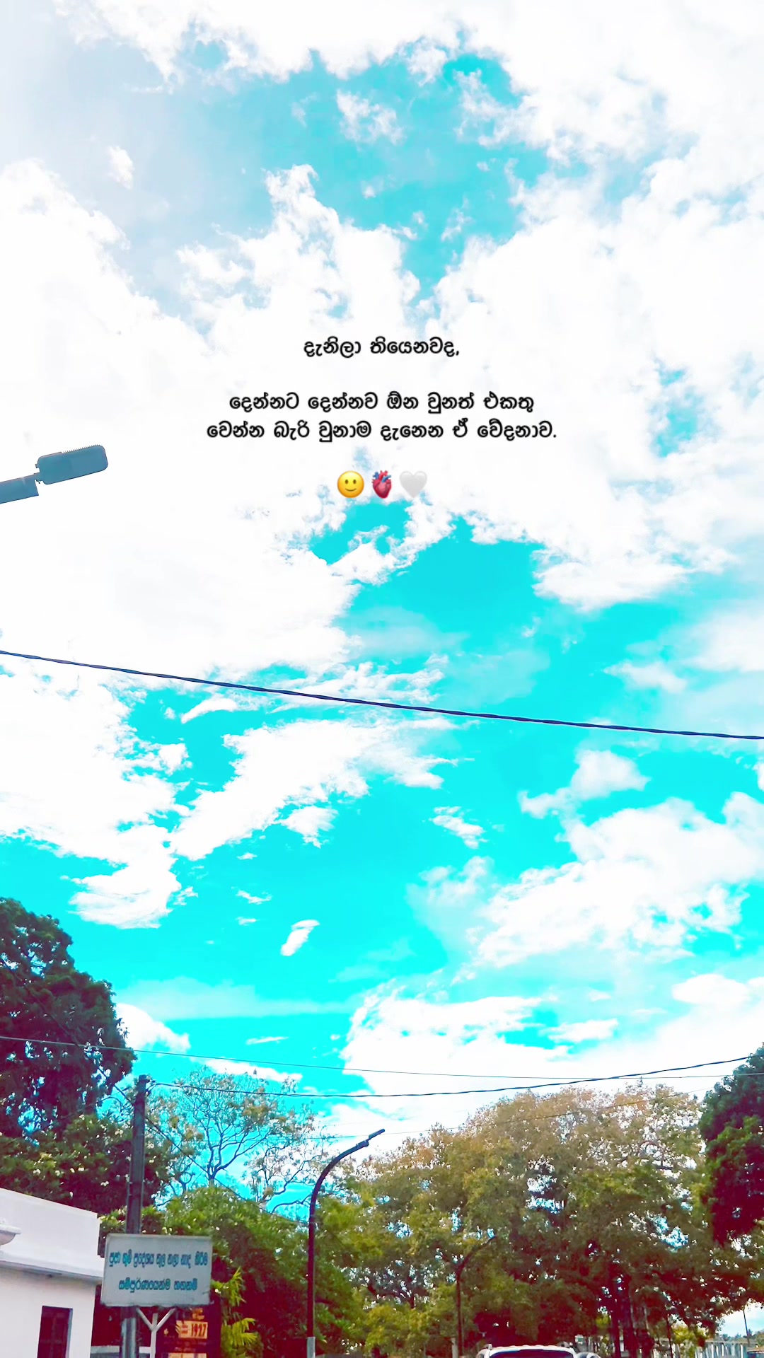 @R U M A 🧸!