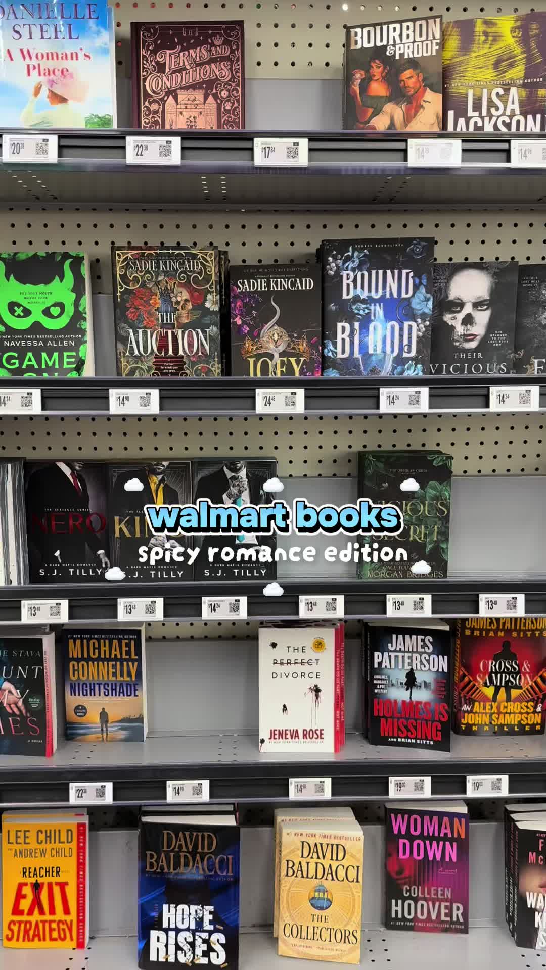 @booksintheclouds