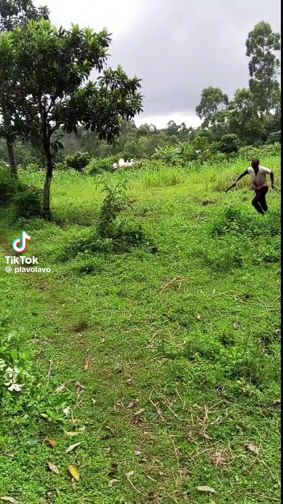@Kichina Mayunga