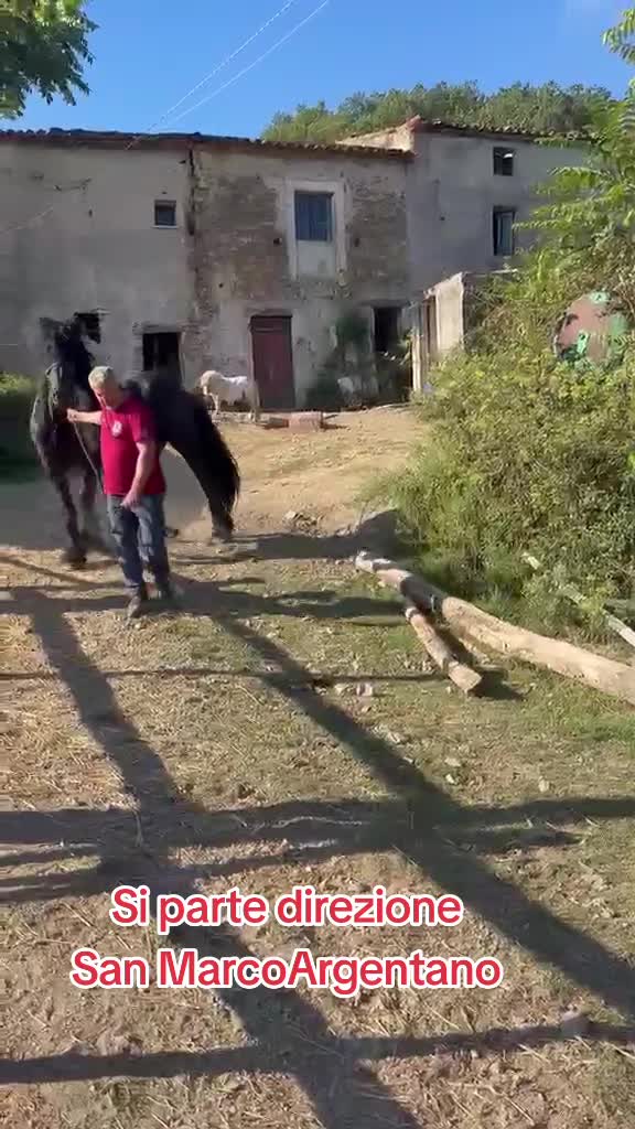 @DIFESA RANCH💥🐴🐴