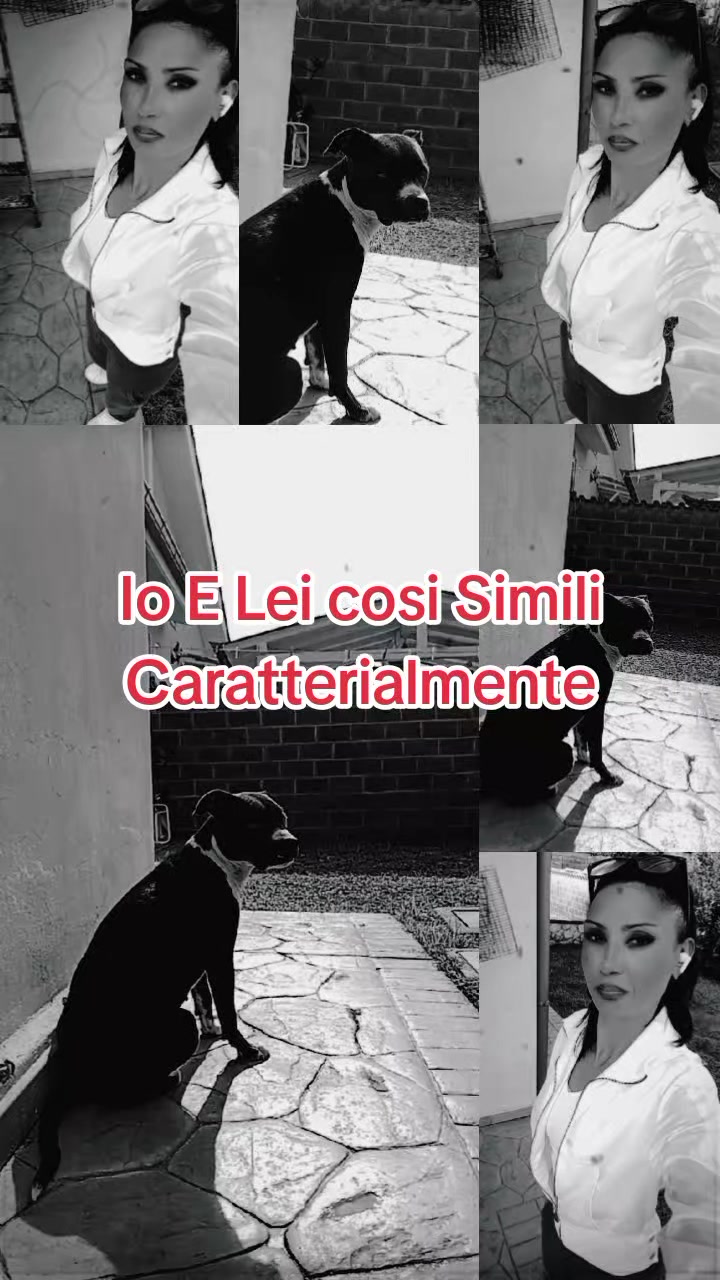 @stelladisilvio53
