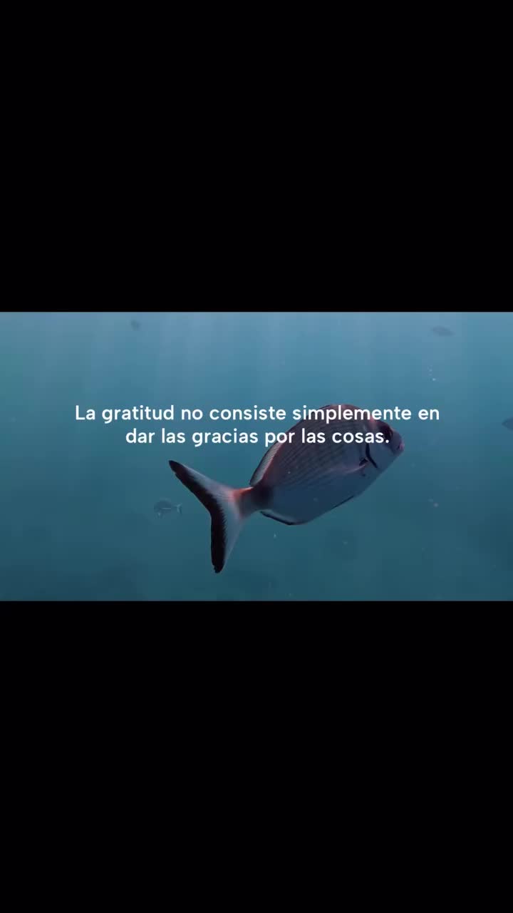 @Cuestionate todo