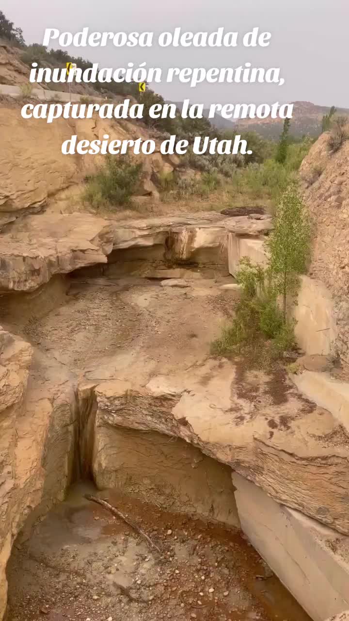 @Roxana Nunez
