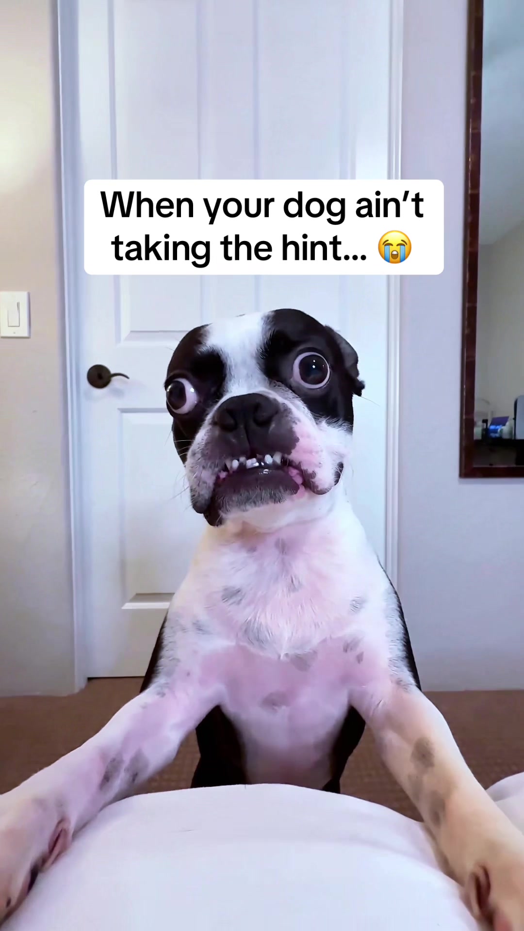 @WhenAshMetBowser