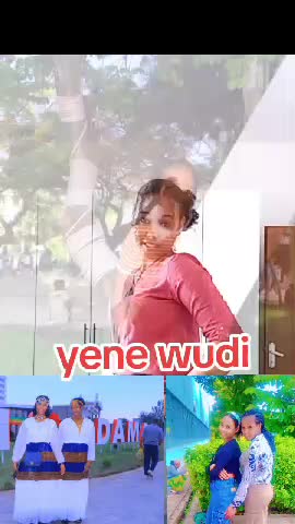 @Tirunesh Guda