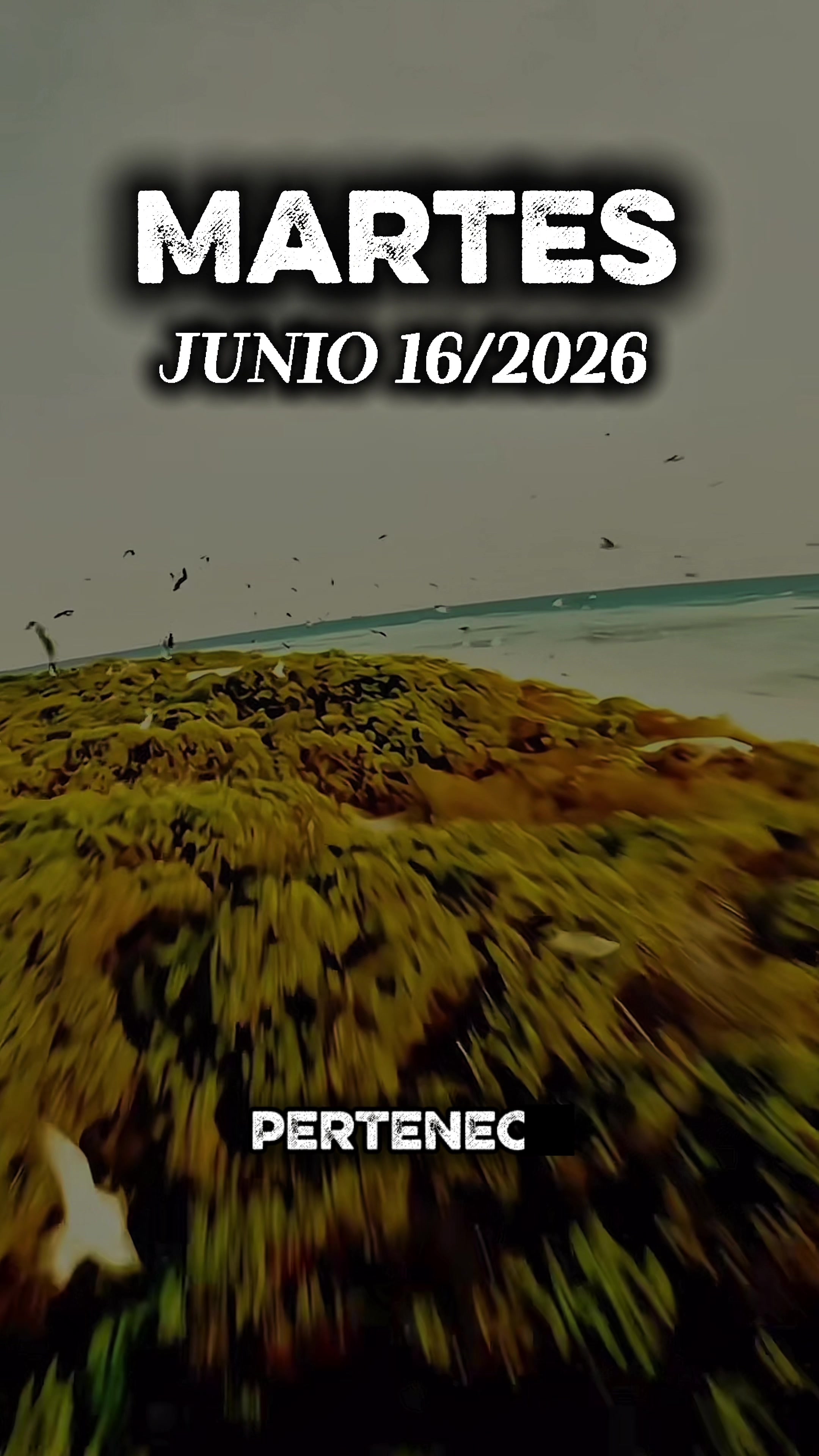 @M&uacute;sica del Cielo