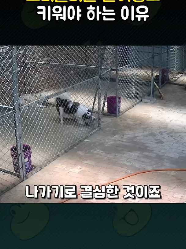 @개블리