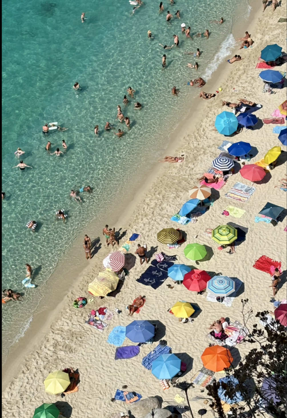 @Giuseppe.cuomo____