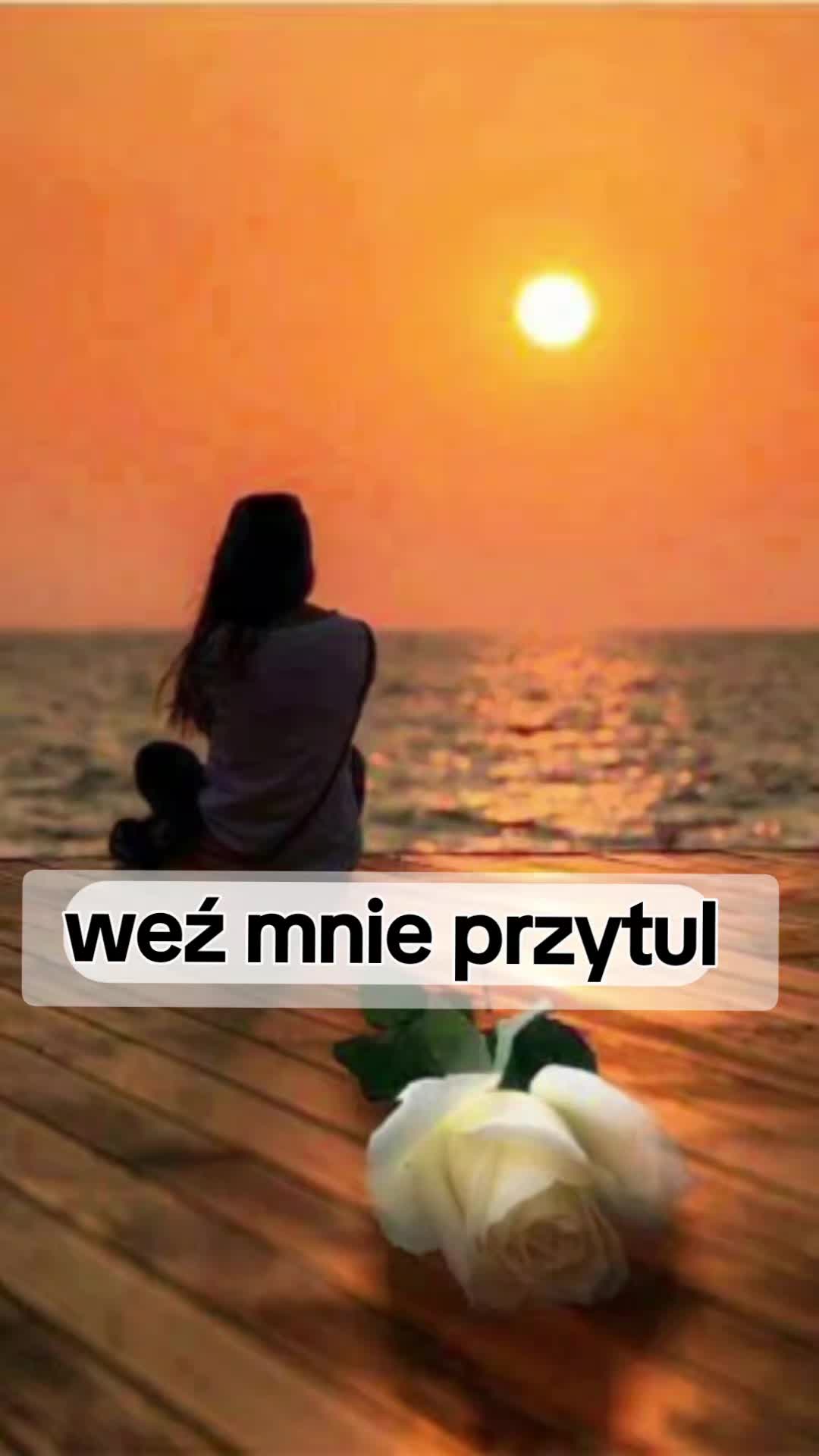 @Śladami Zebry