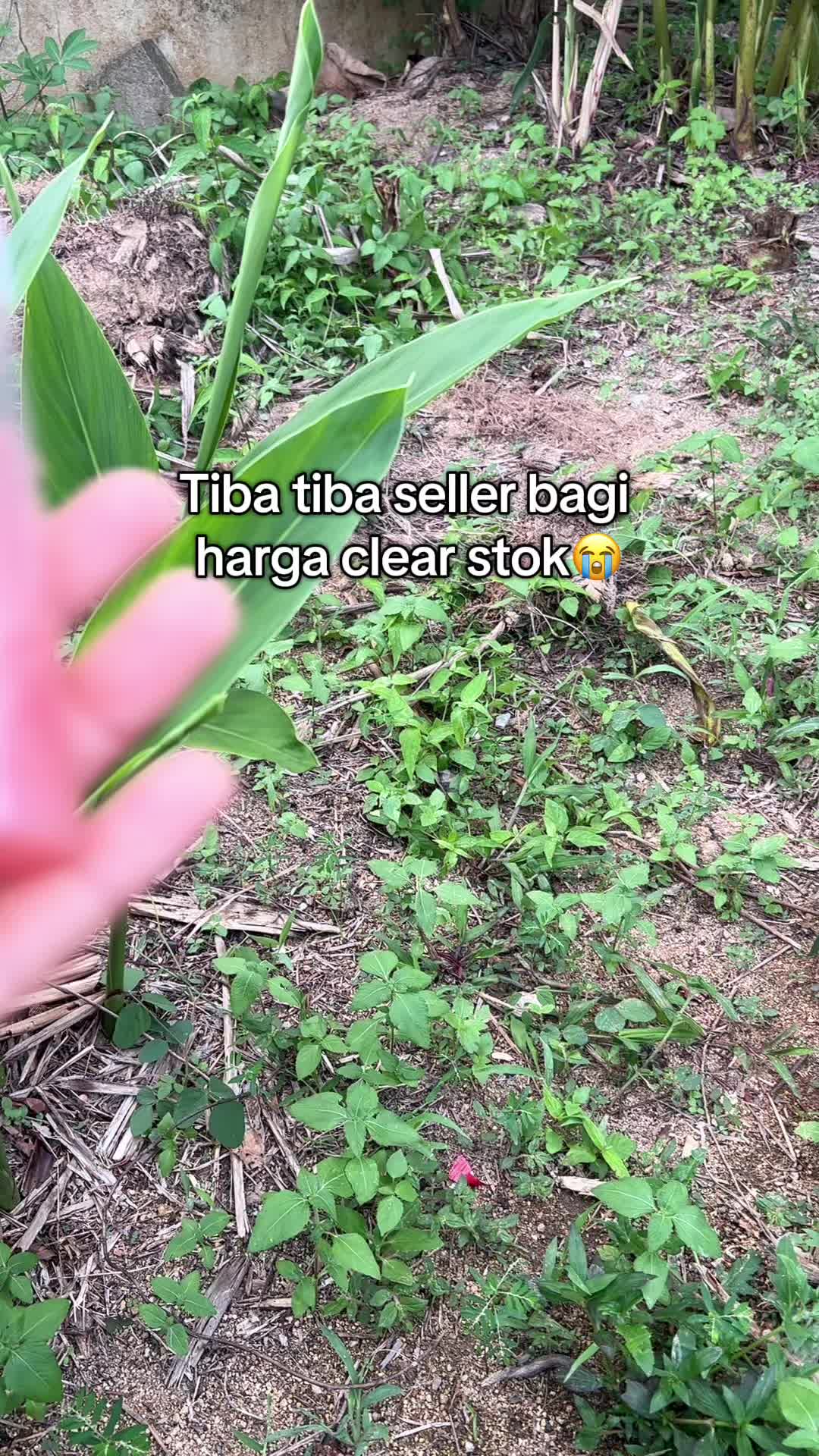 @Miaaa