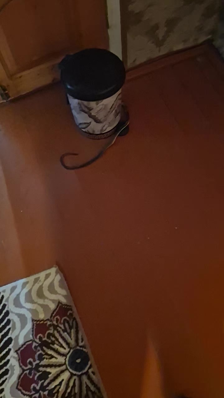 @Tt_447