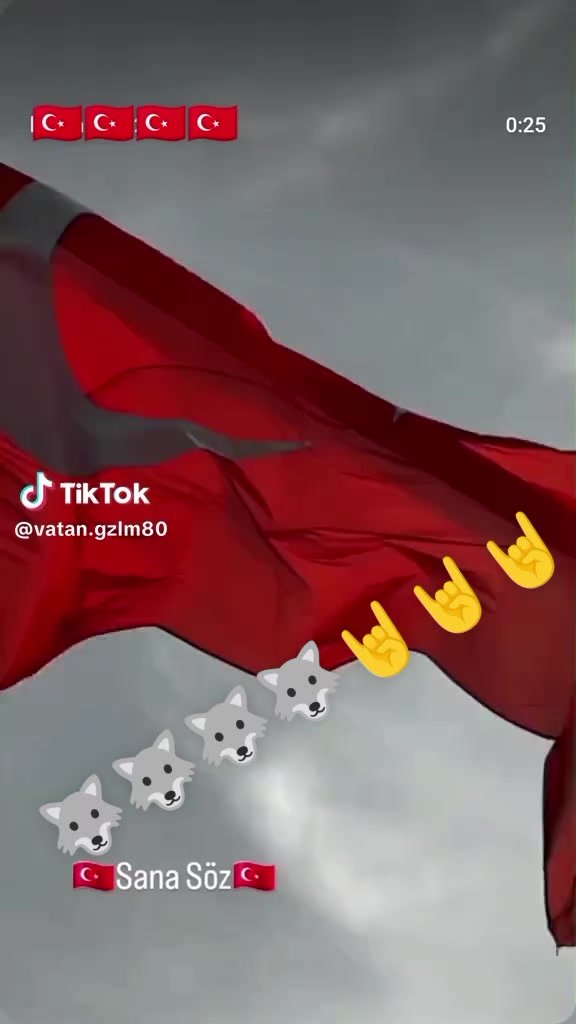 @Selami Pekmezci