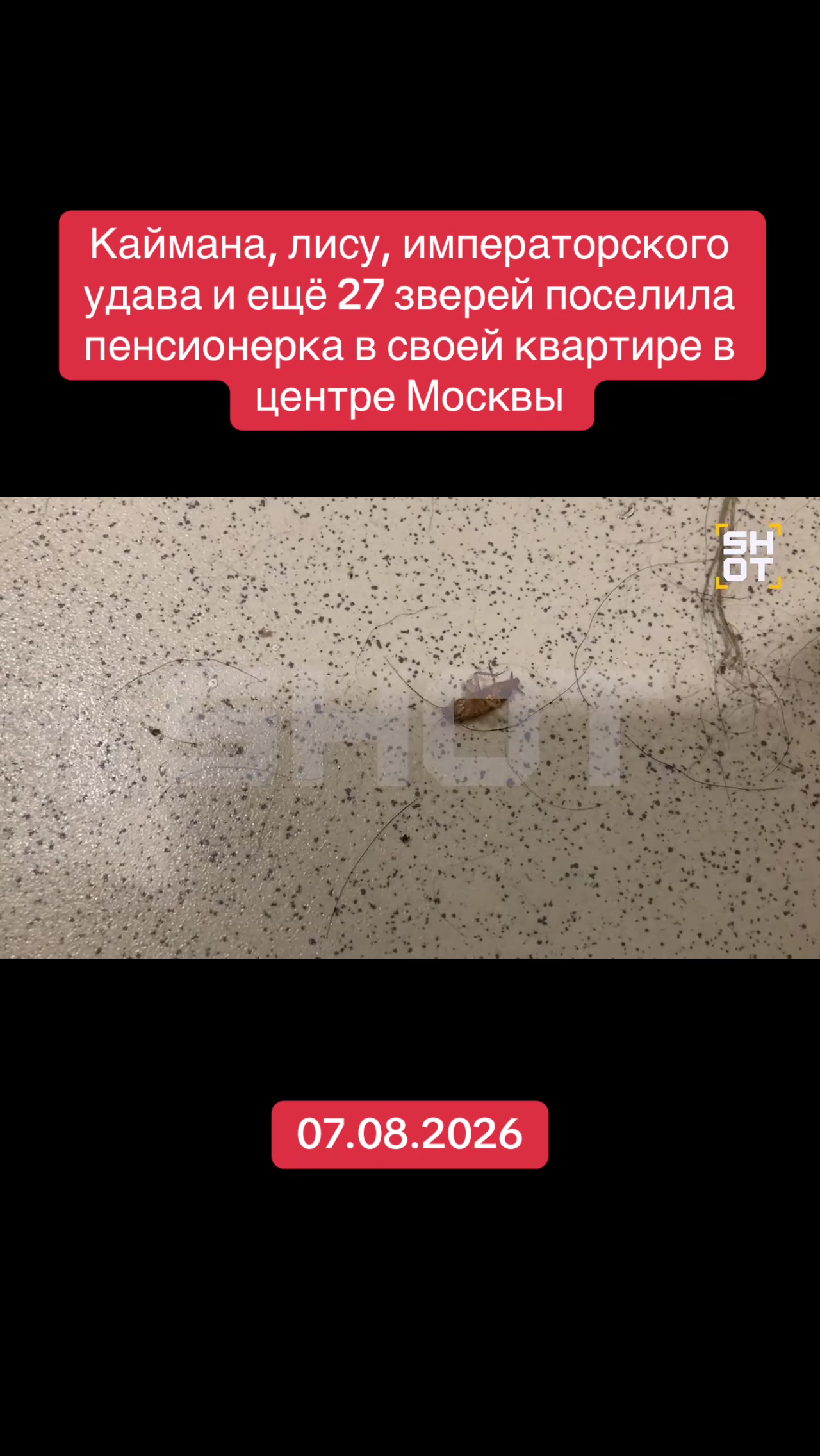 @RED NEWS