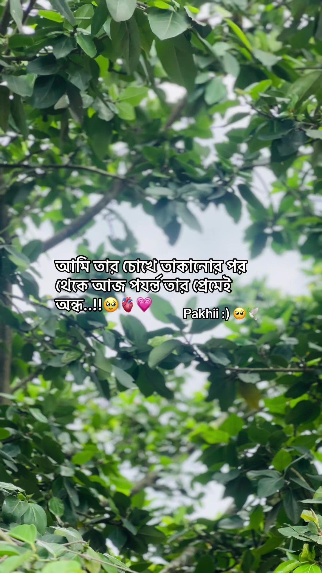 @𝗔𝘇𝗶𝘇𝘂𝗹_🧃🌷