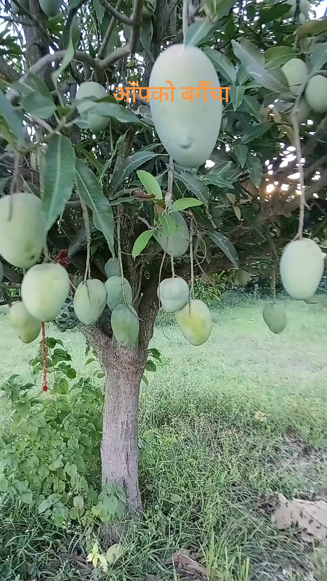 @Raju Sahu Raj