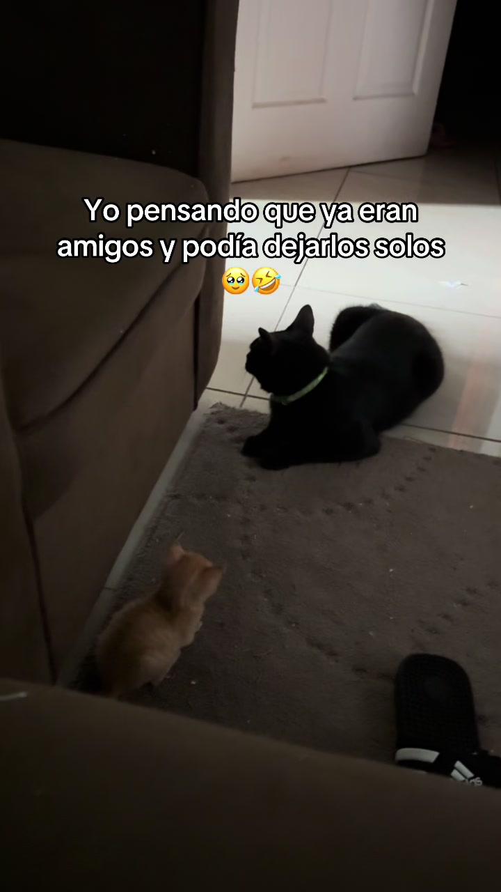 @Angie